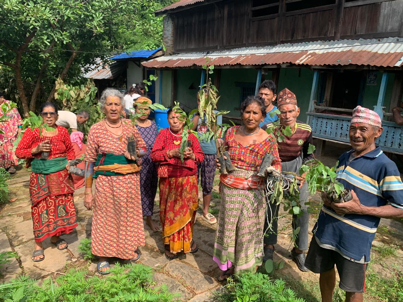 Tree Plantation